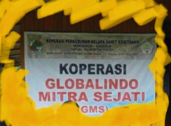 IMG-20240821-WA0058