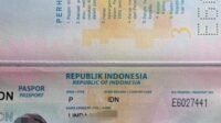 IMG-20241023-WA0071