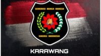 logo10_25_173436