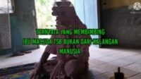 Oplus_0