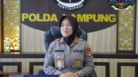 IMG-20250225-WA0014