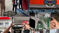 IMG-20250319-WA0156
