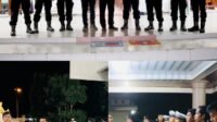 InCollage_20250530_121729208