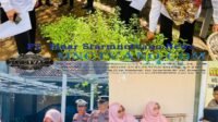 InCollage_20250604_131058944