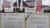 IMG-20250820-WA0272