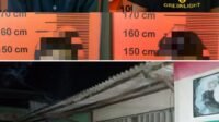 InCollage_20260302_133535001