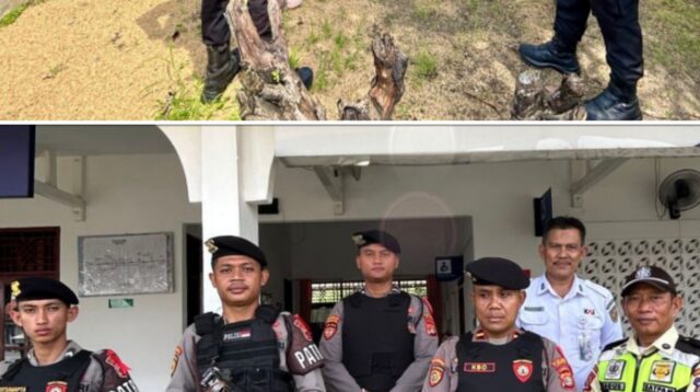 InCollage_20260329_114411702