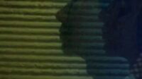 1699657225981